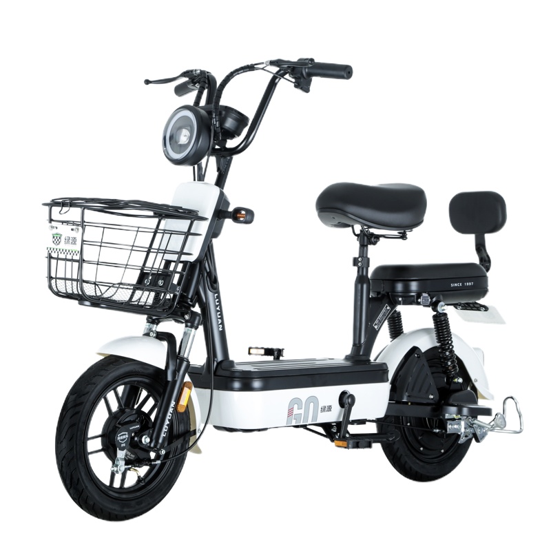 绿源(LUYUAN)新国标电动自行车小型电瓶车FBA2成人男女代步车电动车 雪山白联名