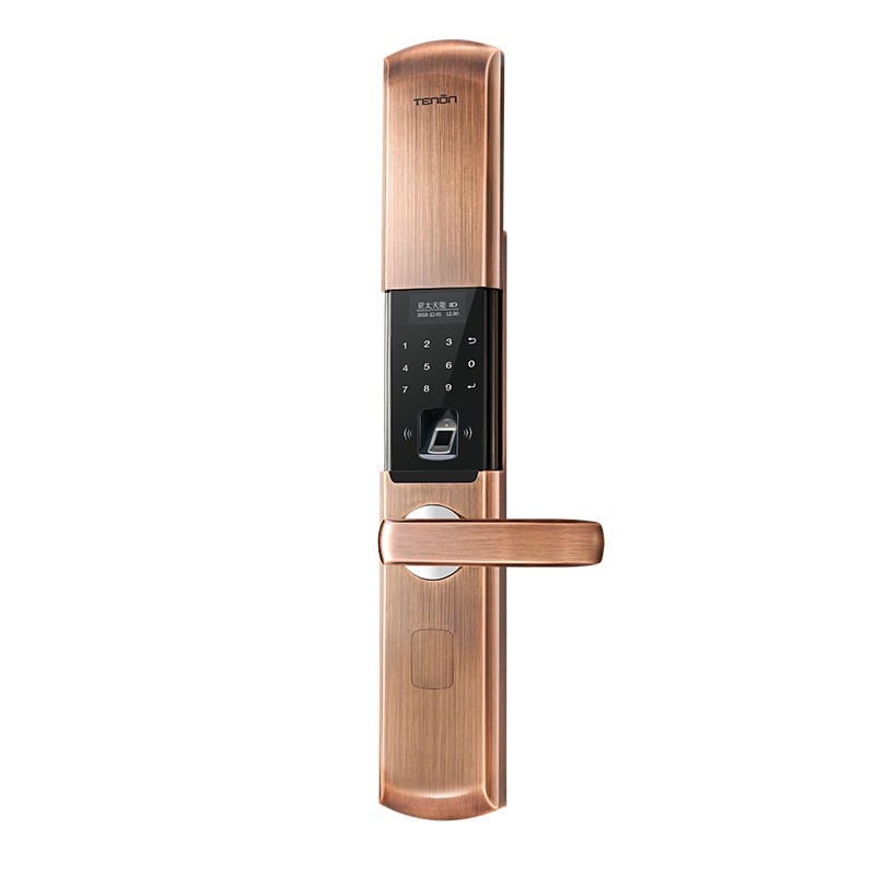 亚太天能(TENON)智能指纹锁 家用密码锁防盗门锁电子门锁铁门木门 T109 深红古铜