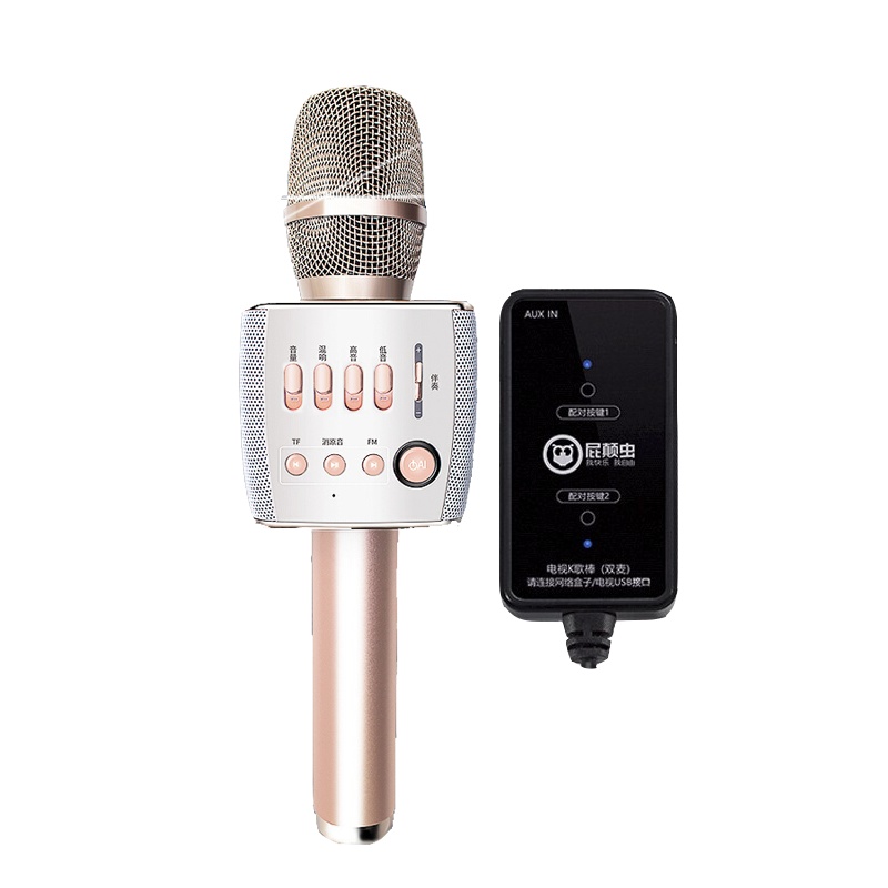 屁颠虫X35话筒音响一体麦克风全民K歌录歌无线蓝牙电视卡拉OK通用掌上ktv家用户外儿童手持唱吧全能麦 金色双麦版