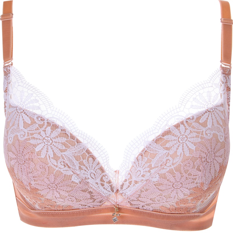 【特价清仓 不退不换】记忆钢圈舒适柔软云感棉文胸 刺绣聚拢调整型女士内衣