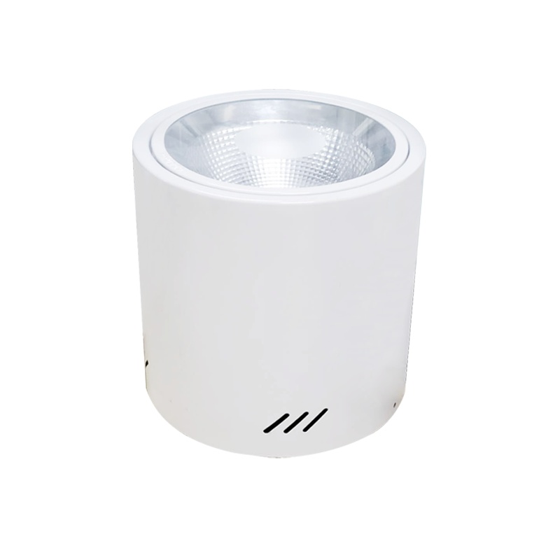 众朗星 ZL8855-A LED站台灯 50W LED光源