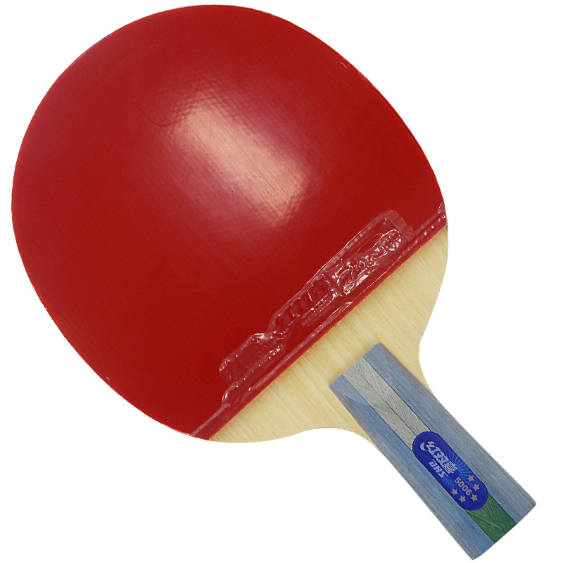 启康 红双喜DHS乒乓球拍 直拍双面反胶弧圈结合快攻5星单拍R5006(附拍套)