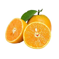 [鲜贝达生鲜]湖北秭归夏橙5斤小果净重 果径55-60mm 新鲜柑橘橙子脐橙