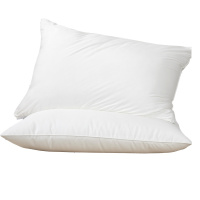悦达家纺(YUEDA HOME TEXTILE)抑菌水洗枕 48*74cm 1200g