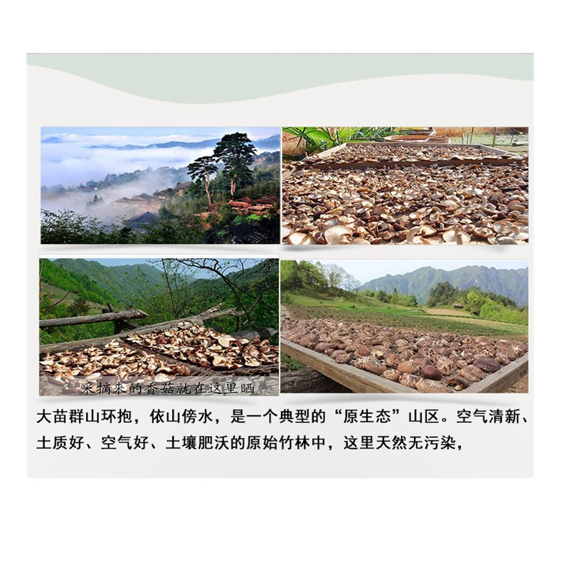 广西农垦 干菌香菇 菌菇山珍干货 250克/袋