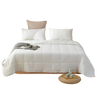 专柜正品 舒适清洁被 加厚床上全棉被芯 保暖舒适透气BQJ