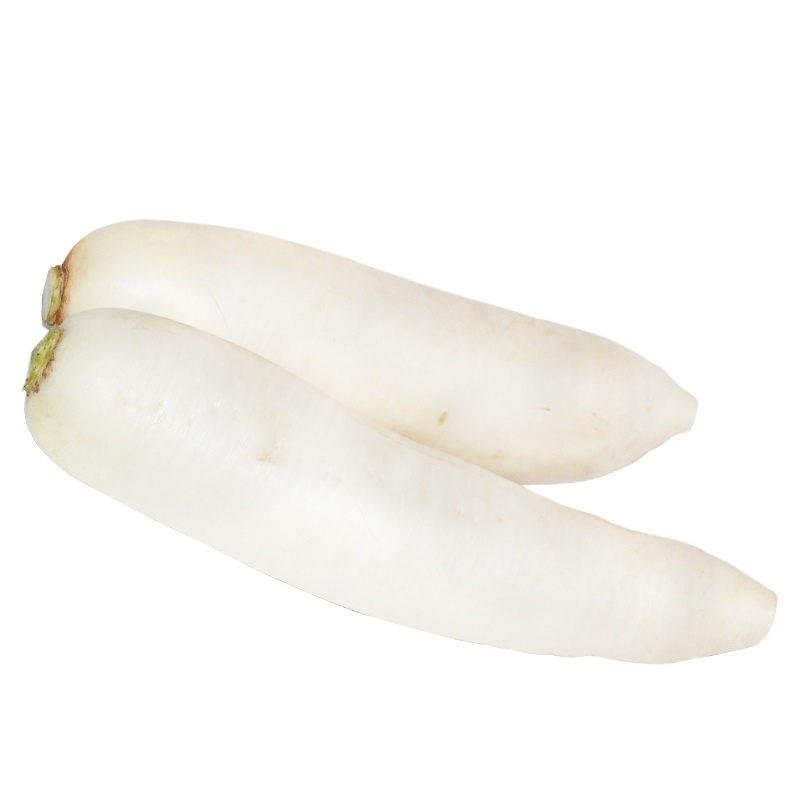 新鲜 白萝卜