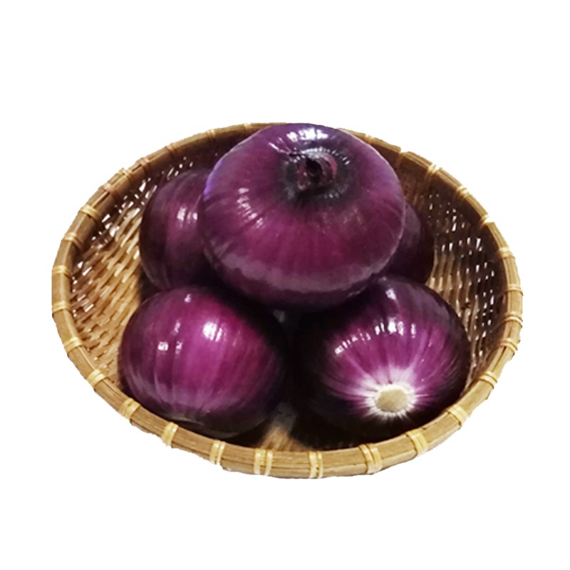 吉果多(JGD) 葱头 J-1201 DT