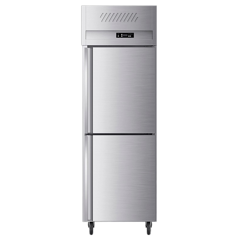 德玛仕(DEMASHI)商用风冷冰柜 厨房髙身雪柜 二封门不锈钢冷藏冷冻保鲜柜 LC0.5L2W 风冷款全冷藏