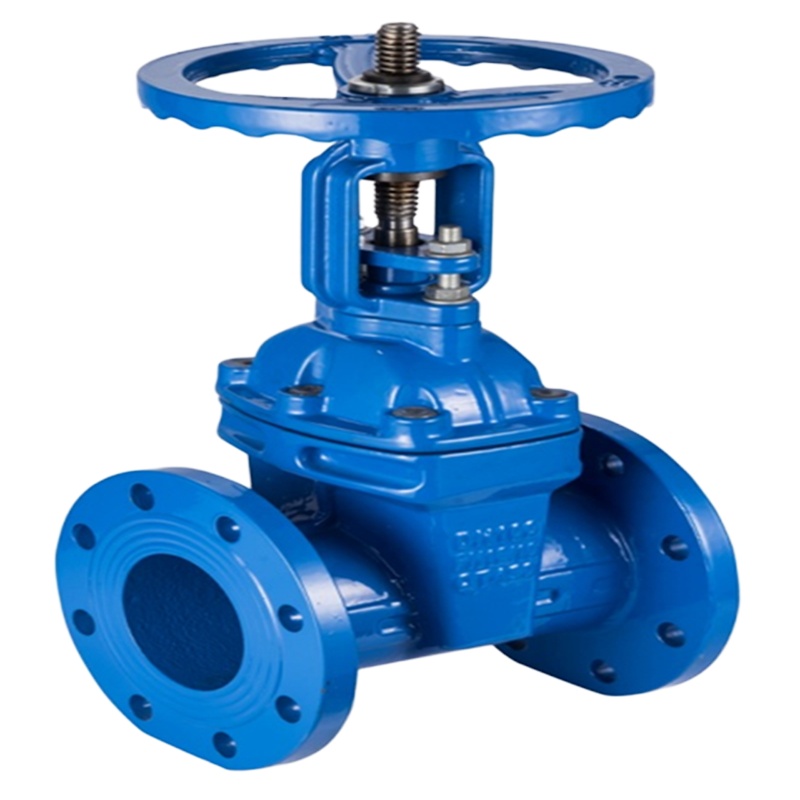 Z41X-16Q球墨铸铁大体明杆软密封闸阀 弹性座封闸阀DN200/个