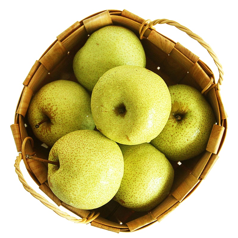 酥梨净重9斤 单果果径75mm左右 新鲜水果