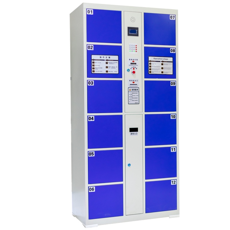 首指(SZ)铁皮柜/十二门存包柜CX-W-077