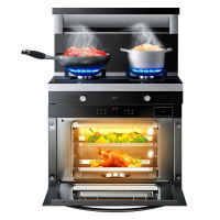 老板名气集成灶蒸烤一体灶FT12A多模式智能蒸烤一体机+531R12智能恒温燃气热水器12升天然气组合套装