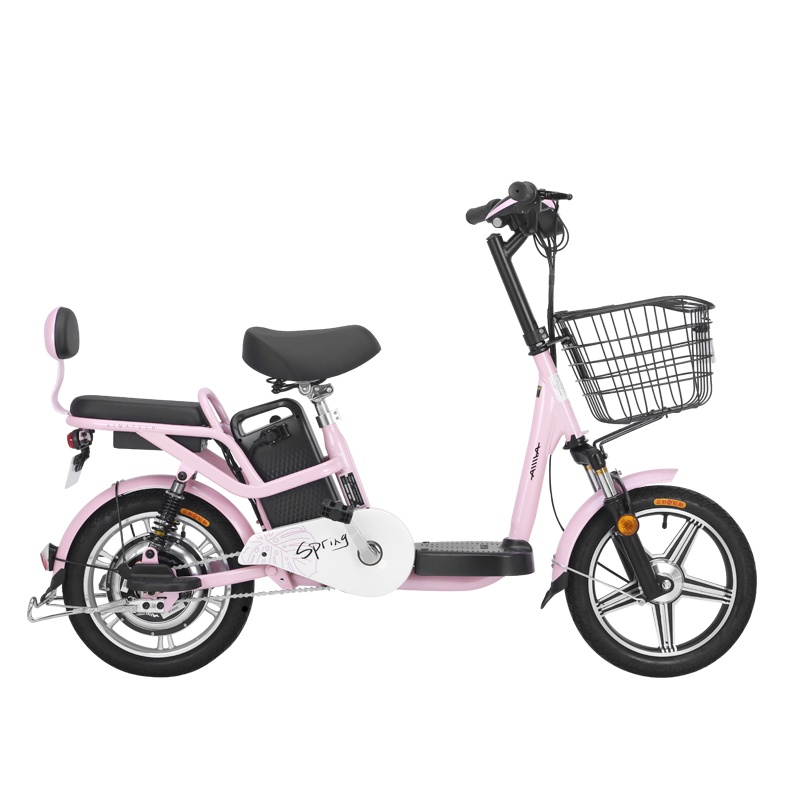 爱玛（AIMA）春生 电动车 锂电代步 电池可提取 新国标3C大证