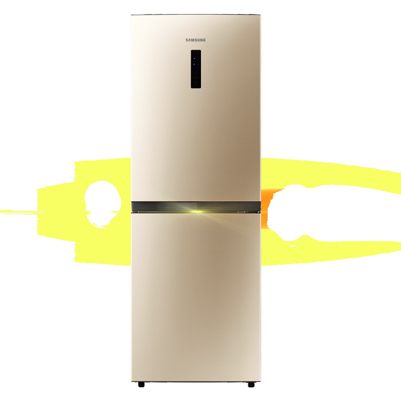 三星(SAMSUNG)RB21KMFH5SK/SC 215升 智能变频压缩机 大容量家用 双门冰箱日耀金