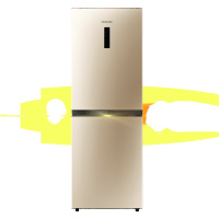 三星(SAMSUNG)RB21KMFH5SK/SC 215升 智能变频压缩机 大容量家用 双门冰箱日耀金