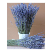 薰衣草干花花束天然干花薰衣草花束客厅装饰七夕情人节礼物1斤