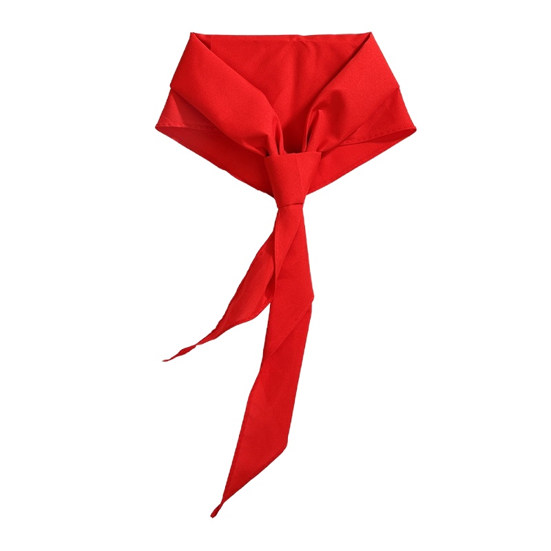 得力(deli)红领巾小学生通用纯棉红领巾(2条装)