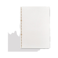 B5 活页本纸带打印孔 /空白芯纸/空白内芯 50张/ 包 (10包)