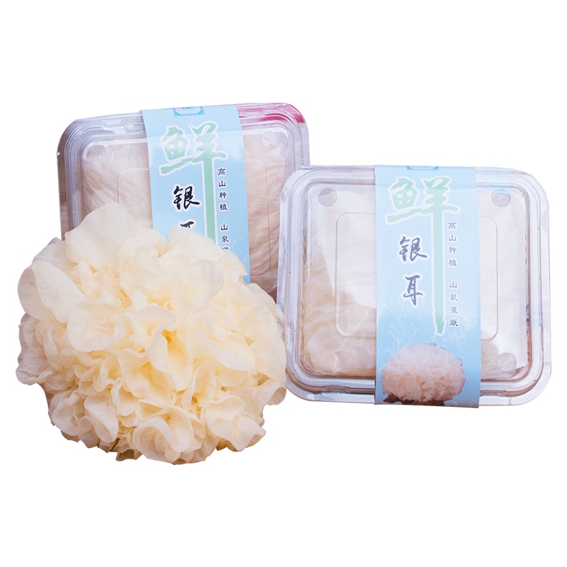 金唐(KTANG)鲜银耳6朵装约720g 顺丰冷链 新鲜软糯 古田银耳 每朵单独包装 银耳