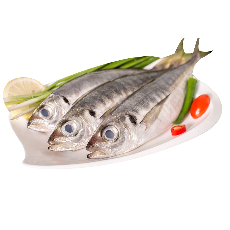 【四海生鲜】 东山岛野生新鲜巴浪鱼（8-9条）500g 鳀鱼现捕活冻巴浪鱼海鱼鲜水产