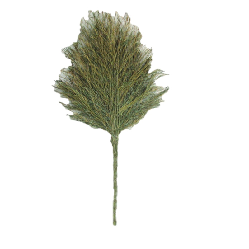 XN 天然竹制大扫把 手工竹扫帚