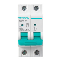 天正电气 空气开关 TGB1N-63 2P C 25A 6KA 01060270090 微型断路器