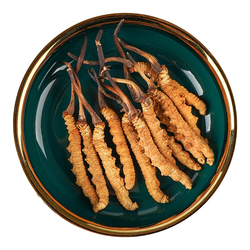 群安堂冬虫夏草5根/克