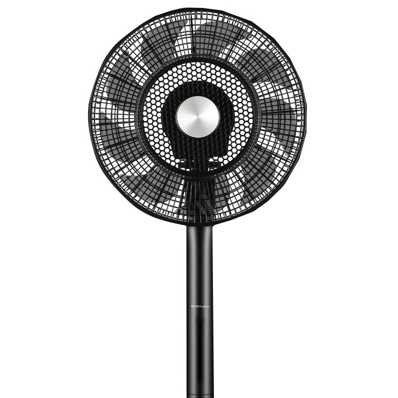 荣事达 电风扇 强劲风力 三档风速 九片扇叶 落地扇家用立式台式宿舍 摇头工业电扇大风力 黑色遥控款