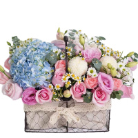 采蝶轩手提花篮绣球粉玫瑰混搭全国同城配送节日送礼