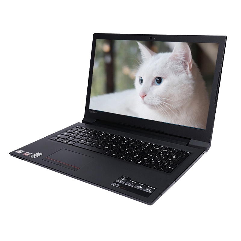 联想(Lenovo)扬天V110 15.6英寸商务办公家用轻薄便携笔记本电脑(E2-9010 8G内存 128GB固态+500GB机械 2G独显)玛瑙黑