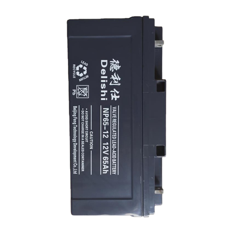 德利仕蓄电池NP65-12 12V 65AH