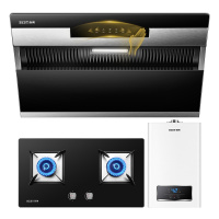 华帝 百得(BEST) E303C2+QE20S+DR20 烟灶热套餐 20立方油烟机灶具 燃气热水器 烟灶组合