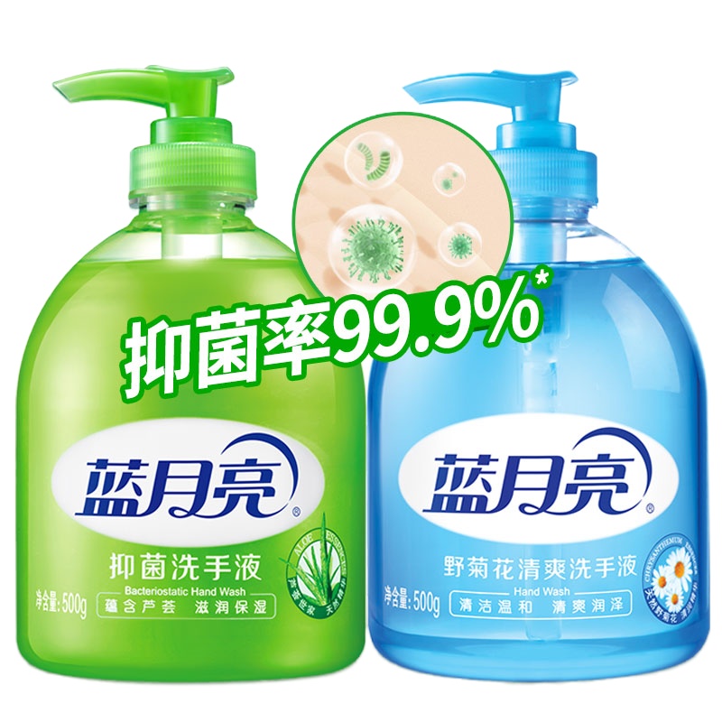 蓝月亮 (芦荟+野菊花) 洗手液套装 500g