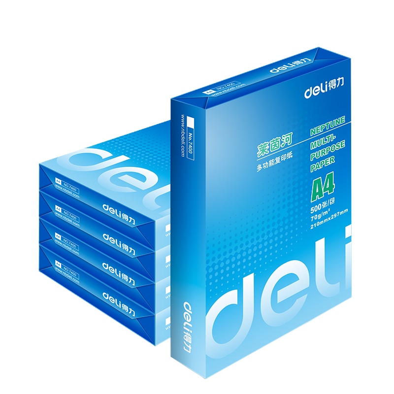 得力莱茵河复印纸7401(A4-70g-5包)