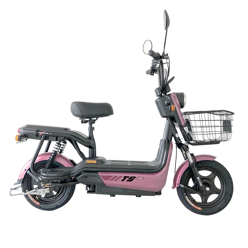 比德文 途胜 时尚代步电动车男女双人通勤48V20A成人轻便电瓶车