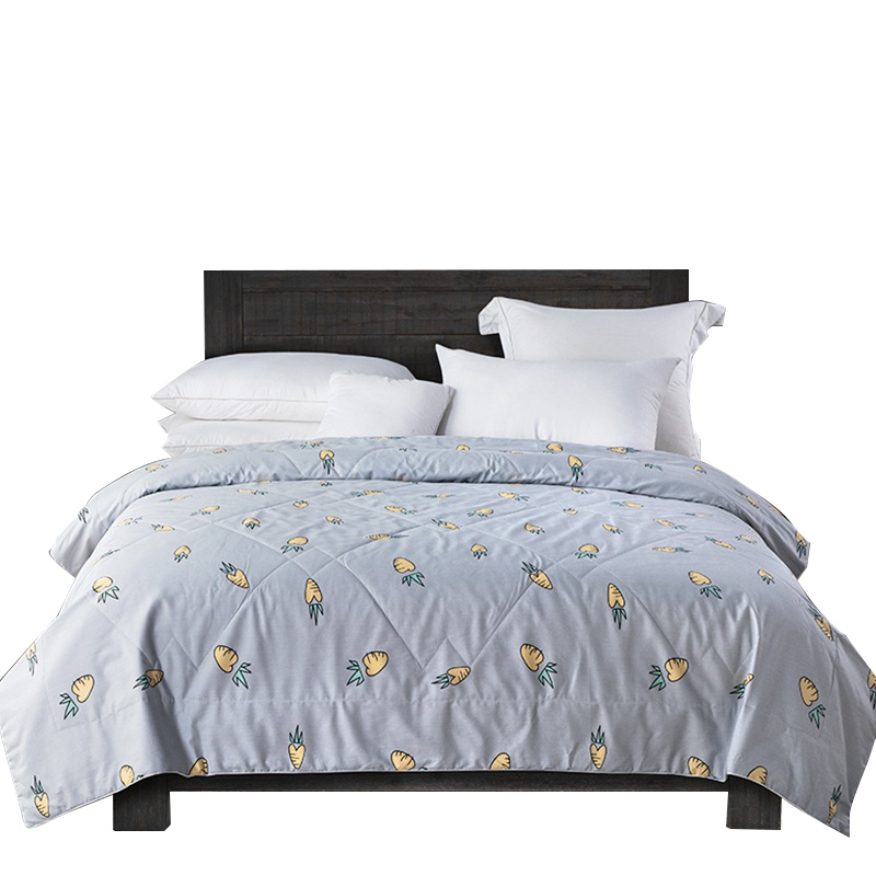 钱皇100%桑蚕丝夏凉被小清新夏凉被 学生薄被子被芯空调被 全棉面料