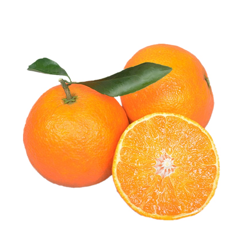 四川爱媛38号果冻橙5斤(大果/特大果) 新鲜橙子当季水果柑橘蜜桔子 孕妇水果