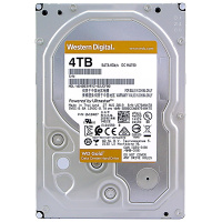 西部数据(WD) 金盘 4TB 7200转128M SATA6Gb/s 企业级硬盘(WD4003VRYZ)