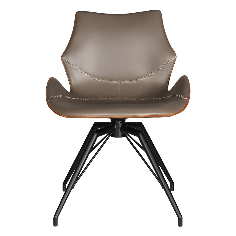 和顿 创意餐椅书桌椅现代轻奢客厅椅子家用休闲创意甲壳虫简约书房艺术个性主人可旋转靠背带扶手椅子HD-903