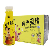 金果源发酵苹果汁饮料450ml*15瓶 整箱装发酵饮品
