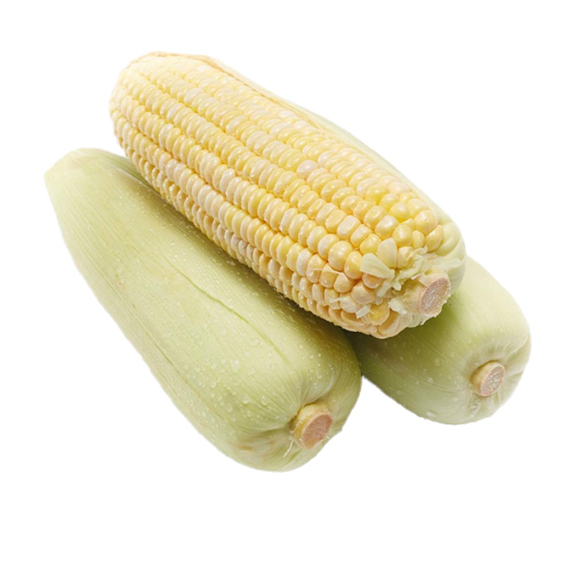 [江苏扶贫][财政集采][沭阳]乃博 甜糯玉米 200g*10袋装