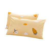 北极绒 舒适加厚枕套两只一对装单人学生枕头套 48*74cm