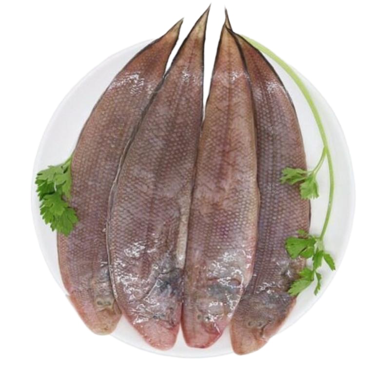 新鲜海捕龙利鱼舌头鱼踏板鱼牛舌鱼鱼柳鳎目鱼海鲜冷冻水产 中号5斤装(一斤6条左右)