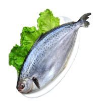 麦渔(MAIYU) 巴西真鲳 (鳕花鲳) 0.3KG/包 2包装