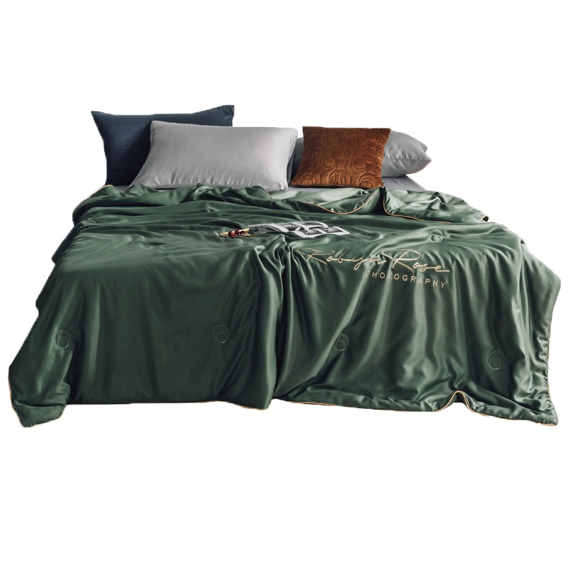 花花公子(PLAYBOY)2021季春夏天丝莫代尔夏凉被刺绣空调被学生宿舍被名宿被