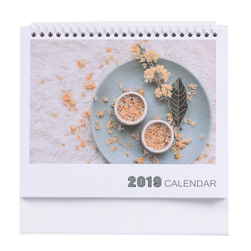 正彩(ZNCI)2422猪年2019年台历日历大格子记事办公用品 台历大号金桂系列