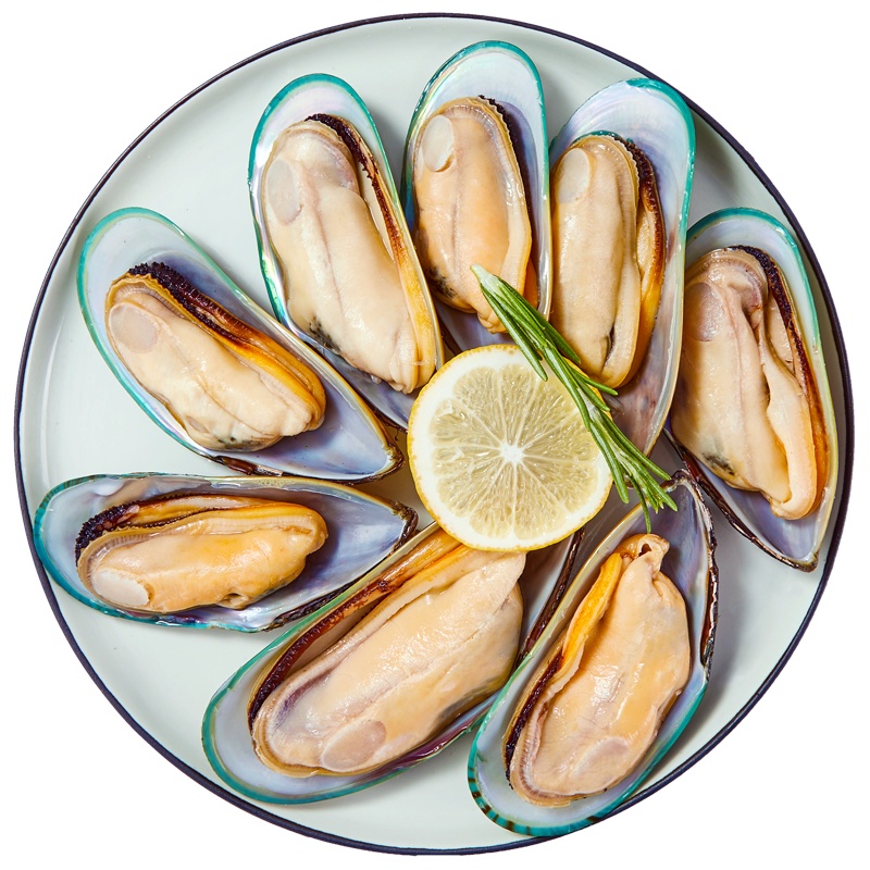 寰球渔市 半壳青口贝 1斤装 火锅烧烤食材 500g/盒 新西兰进口 海贝 冷冻海鲜水产 生鲜