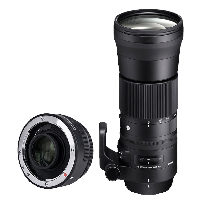 适马(SIGMA)150-600mmC版+TC1401增距镜 镜头套装 单反相机镜头 尼康卡口超远摄变焦 数码相机配件