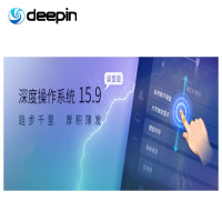 深度操作系统桌面版软件V15.X86专业版 适用于企业/政府 带防火墙支持